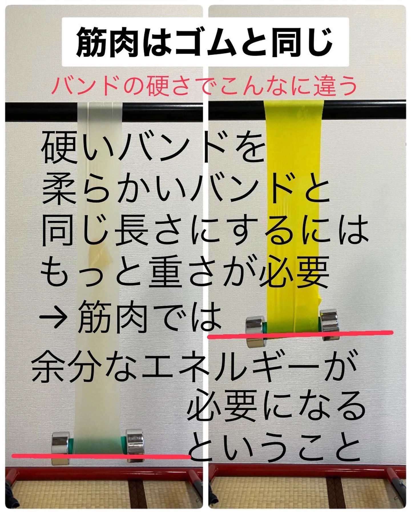 コリ固まった筋肉とは？鍼治療のすすめ