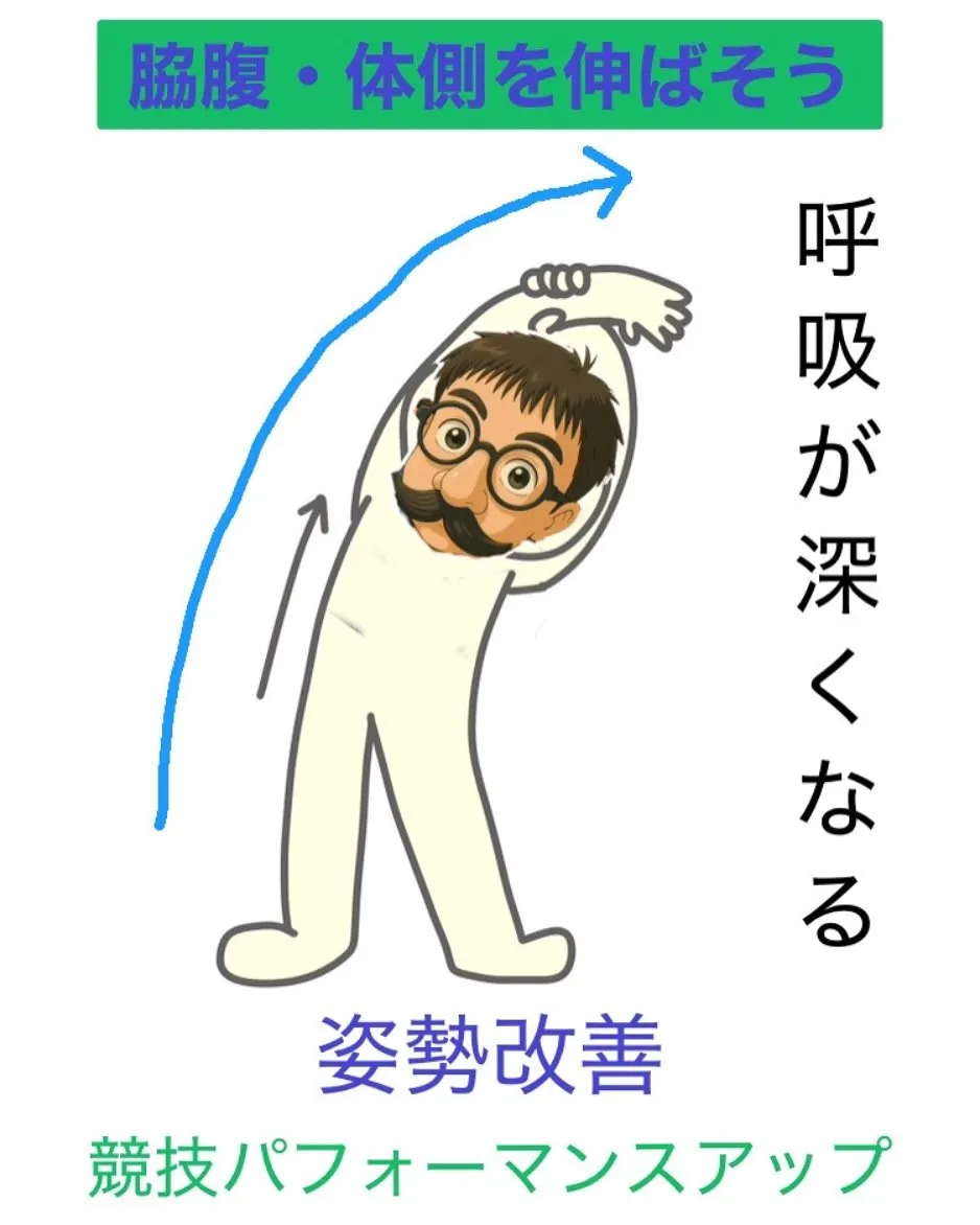 体側・脇腹を伸ばそう